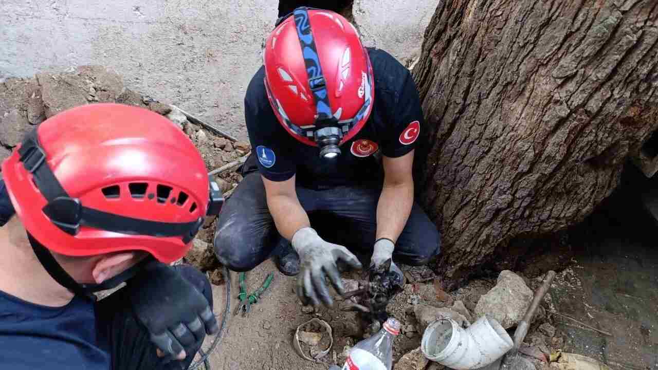 İZMİR BÜYÜKŞEHİR İTFAİYESİ, HAVALANDIRMA BACASINA SIKIŞAN YAVRU KEDİ’Yİ 4 SAATLİK ÇALIŞMA SONUCU KURTARDI…