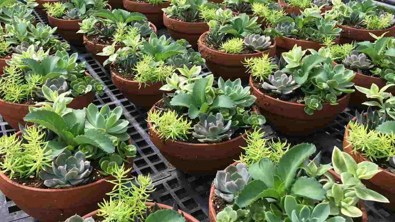 Türkiye, 4 Ülkenin Ürününü Geri Gönderdi!…