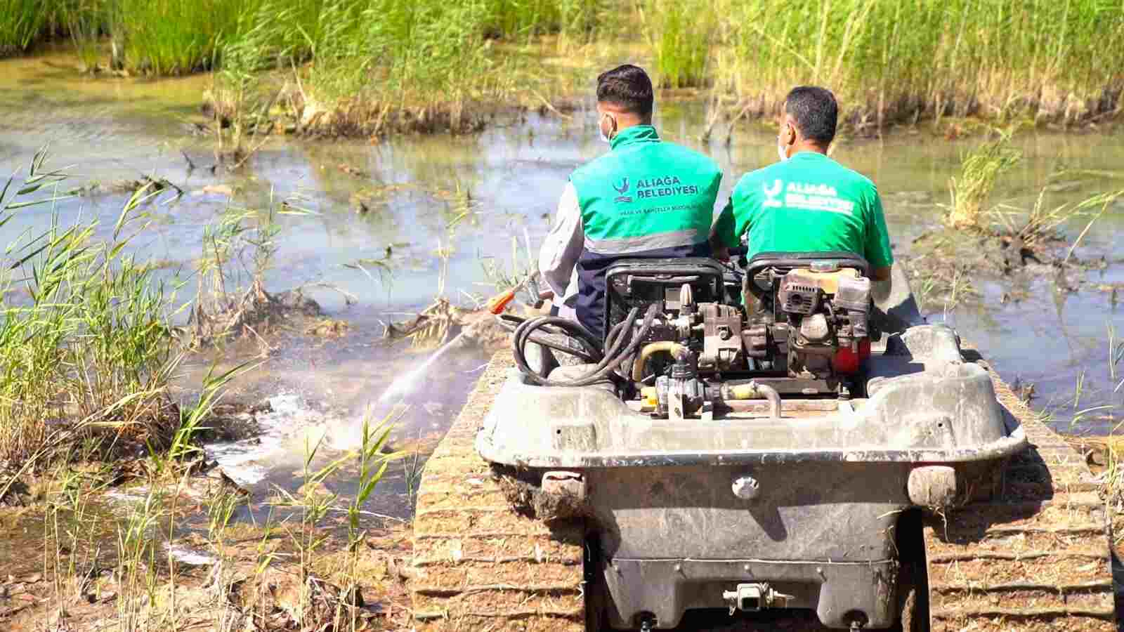 ALİAĞA BELEDİYESİNDEN DOĞA DOSTU HAŞERE MÜCADELESİ…