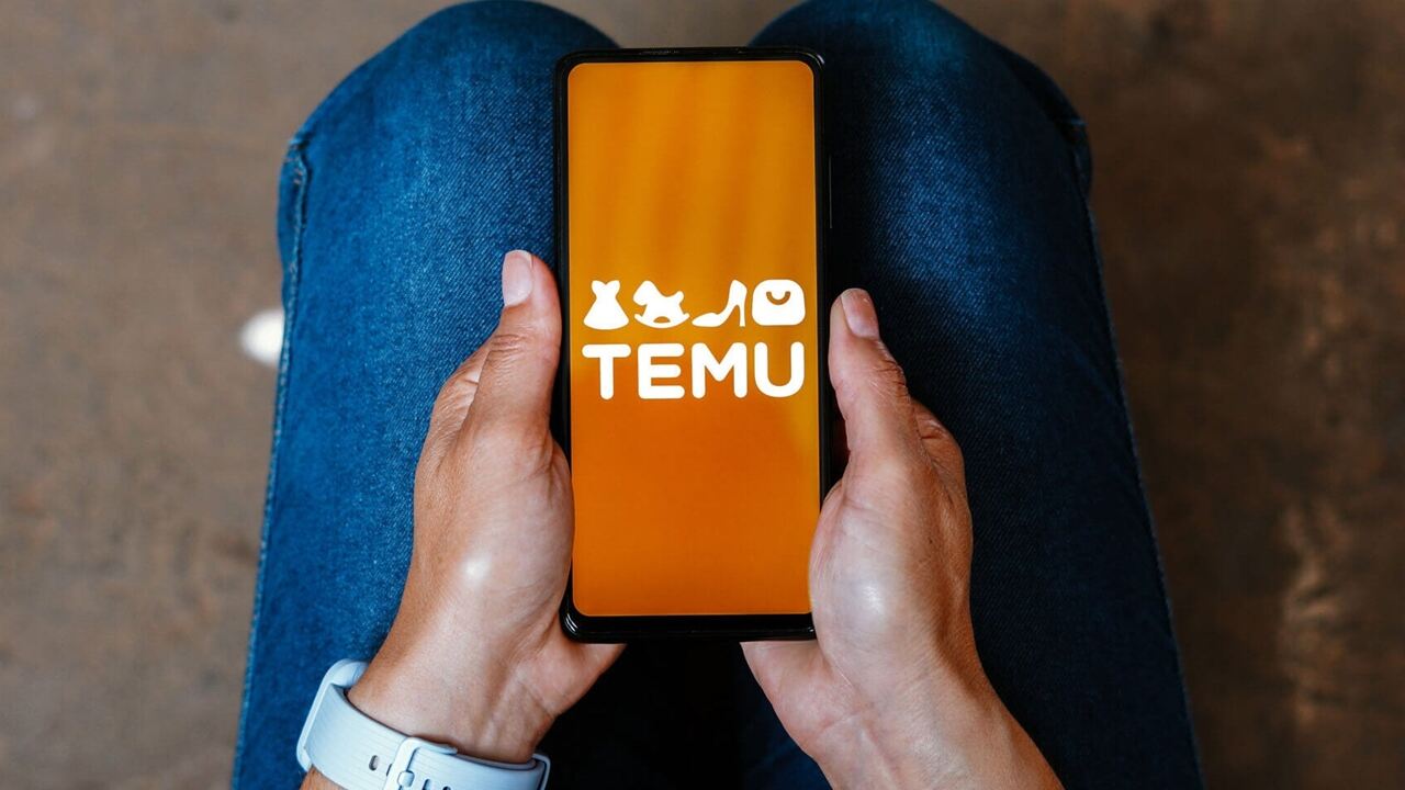 AB: “TEMU KULLANICILARI, YASA DIŞI ÜRÜN KONUSUNDA YÜKSEK RİSKLE KARŞI-KARŞIYA…”