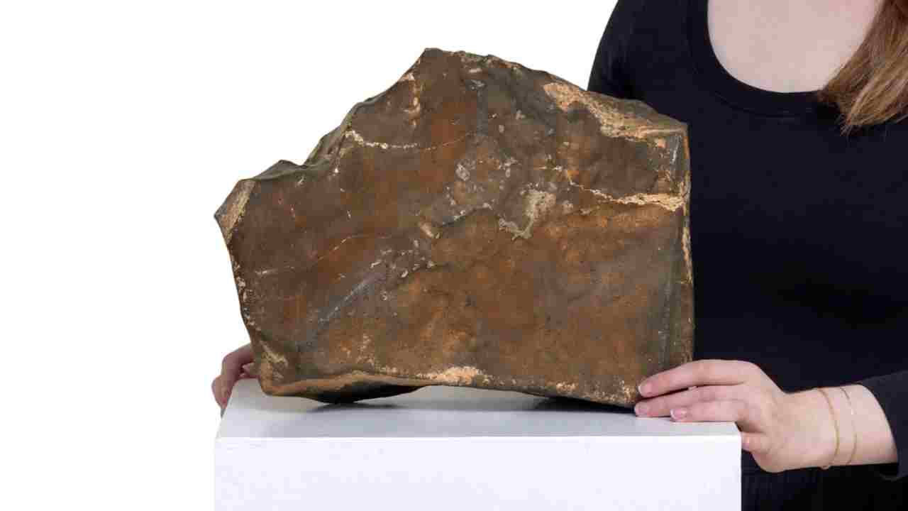 MARS’TAN DÜNYA’YA DÜŞEN 25 KİLOGRAMLIK GÖKTAŞI AÇIK ARTIRMADA 5.3 MİLYON DOLARA SATILDI…