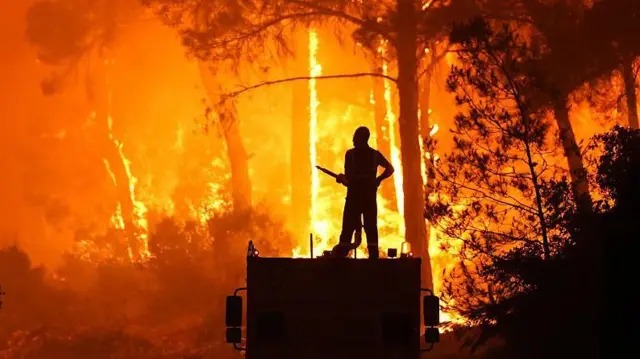 İZMİR’İN ACI RAPORU, 228 KONUT, 15 AHIR AĞIR HASAR GÖRDÜ, YÜZ BİNLERCE ORMAN HAYVANI TELEF OLDU…