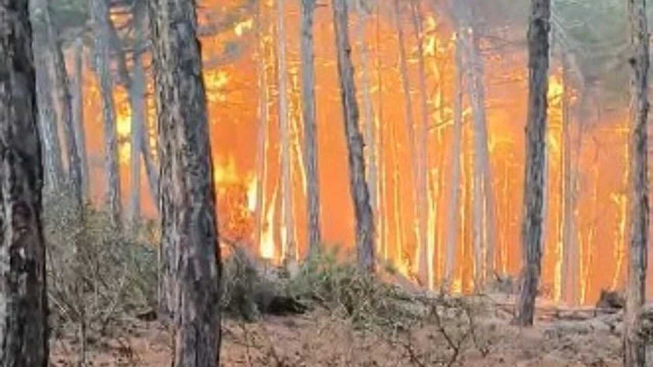 ESKŞEHİR’DEKİ YANGINDA, 5 ORMAN İŞÇİSİ İLE 5 AKUT GÖNÜLLÜSÜNÜ YİTİRDİK, YARALILARDA VAR…