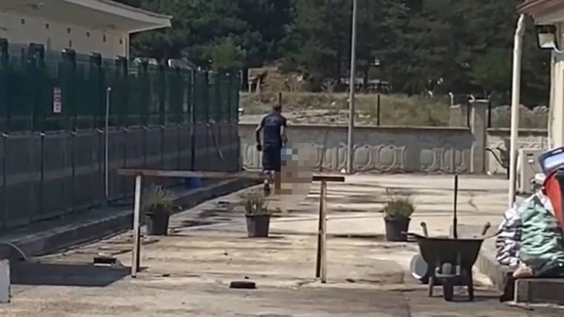 BELEDİYE BARINAĞINDA HAYVAN KATLİAMI!…