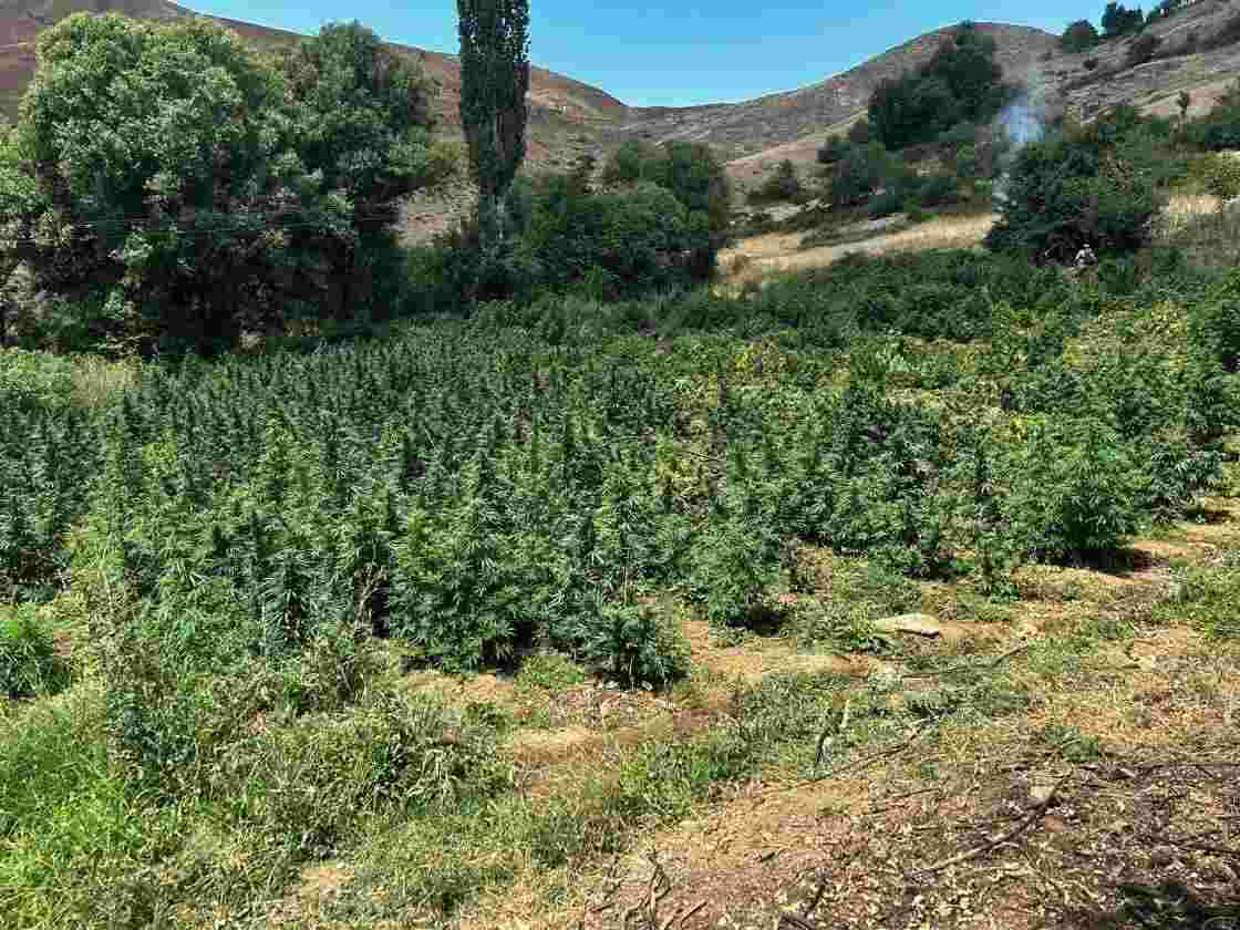 TAPELER PES ETTRDİ: “TARLA VARSA KAFANIZI ÇEVİRİN!…”