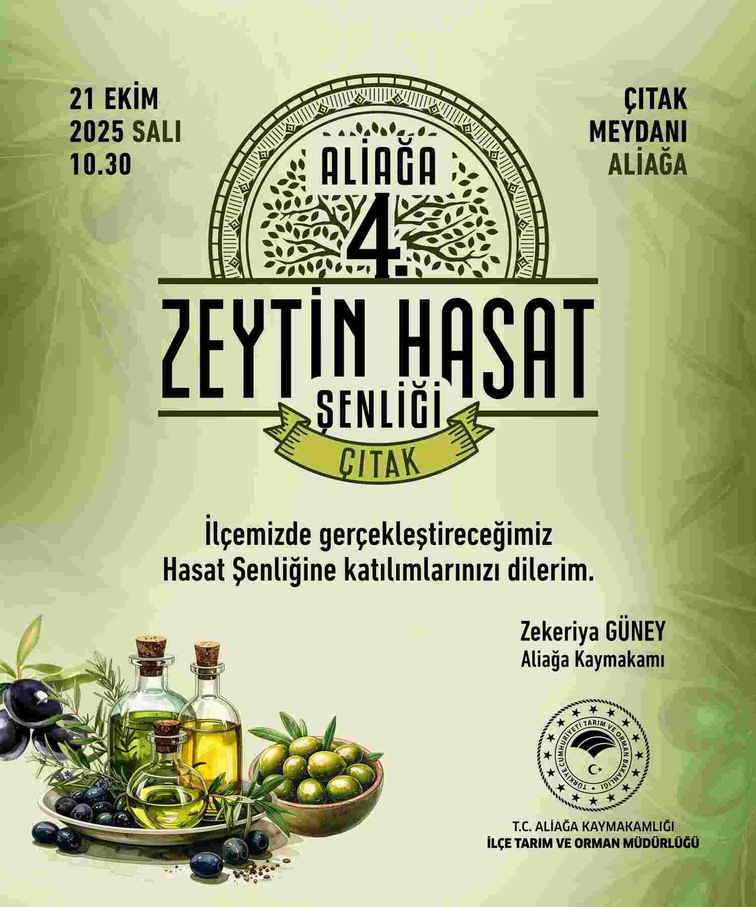 Aliağa, 4. Zeytin Hasat Şenliği’nde Buluşuyor…