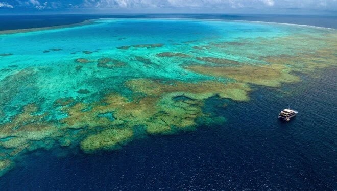 PASİFİK OKYANUSU KAYNIYOR, BİLİM İNSANLARI SEBEBİNİ AÇIKLAYAMIYOR!…