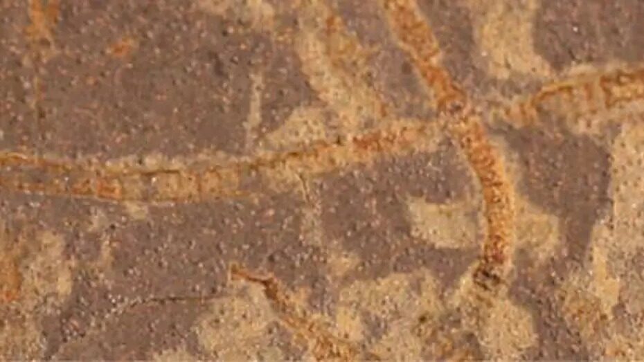 DÜNYA DIŞI YAŞAM ARAYIŞINDA YENİ YÖNTEM…