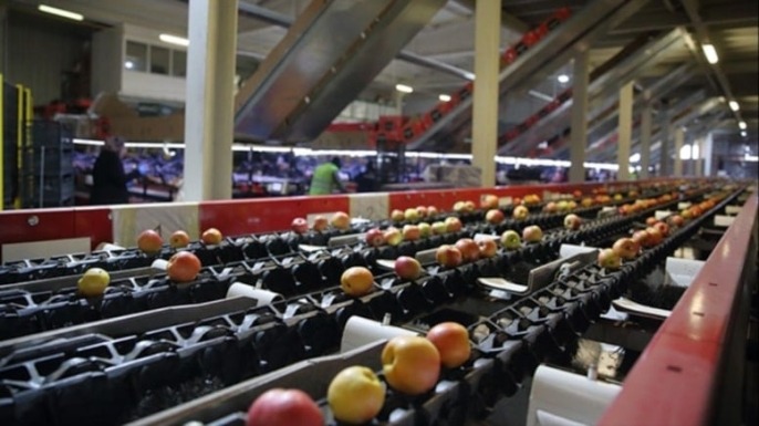 25 ÜLKEYE MEYVE İHRACATI YAPIYORDU, KONKORDATO İLAN ETTİ…