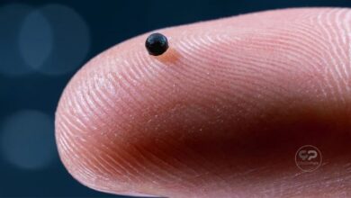 İNSAN VÜCUDUNDA YÜZECEK, DÜNYANIN EN KÜÇÜK OTONOM ROBOTLAR GELİŞTİRİLDİ…