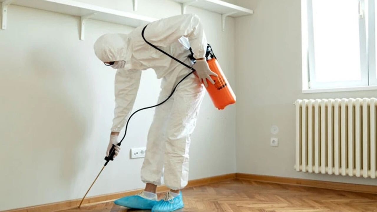 TÜRK ECZACILAR BİRLİĞİNDEN, ZEHİRLENME VAKALARINA YÖNELİK AÇIKLAMA…