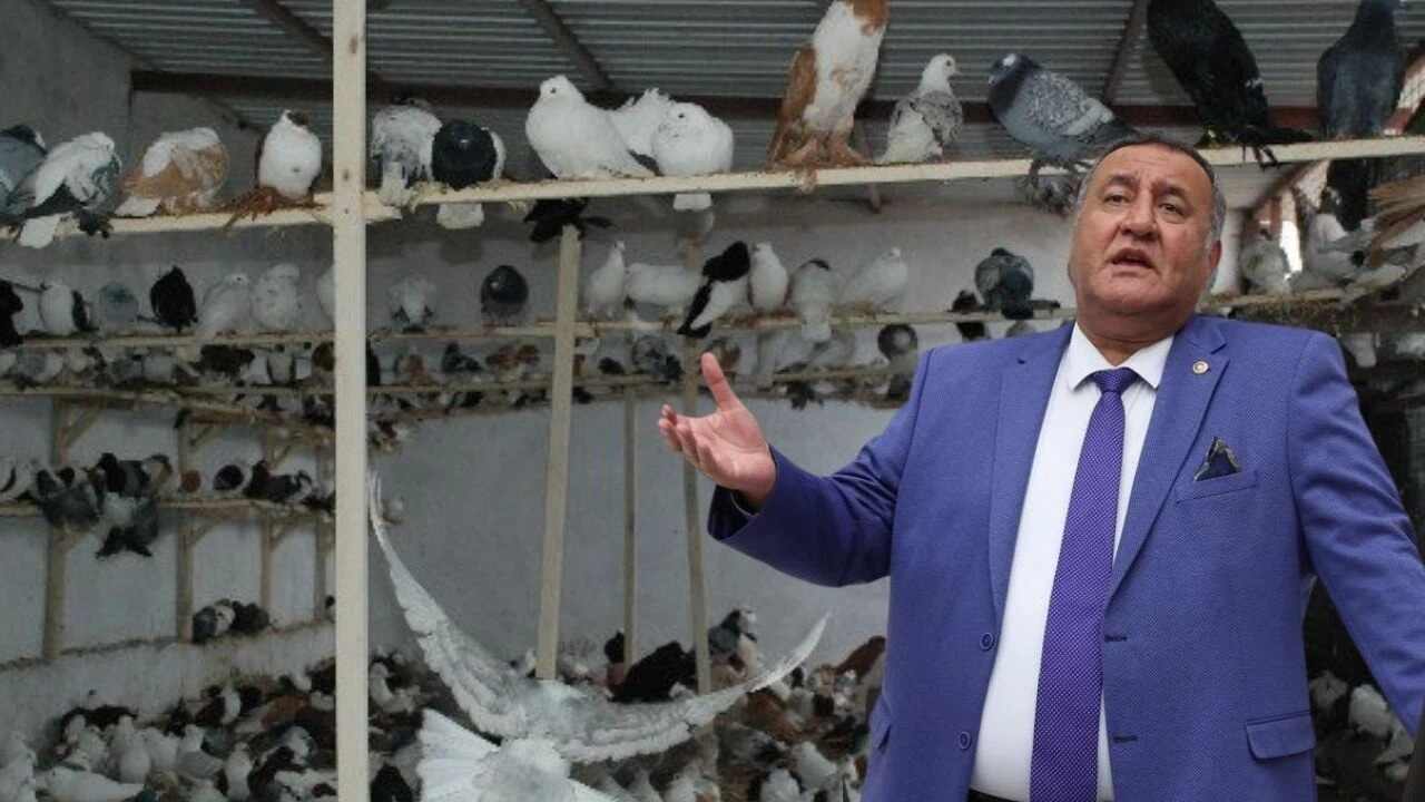 BANKAYA BORCUNU ÖDEYEMEDİ, GÜVERCİNLERİNE İCRA GELDİ!…