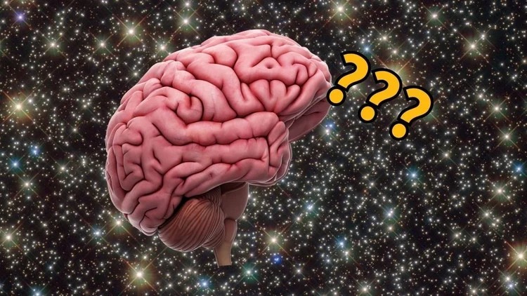 Uzayda Şaşırtan Keşif!, İnsan Beyni Değişime Uğruyor!…