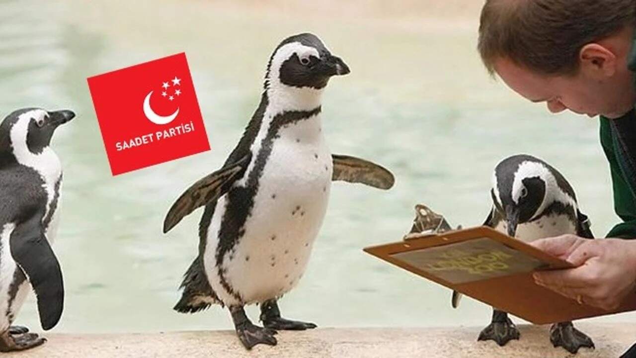 PENGUEN AKIMINA KATILDI, TEK CÜMLELİK MESAJ YAYIMLADI…